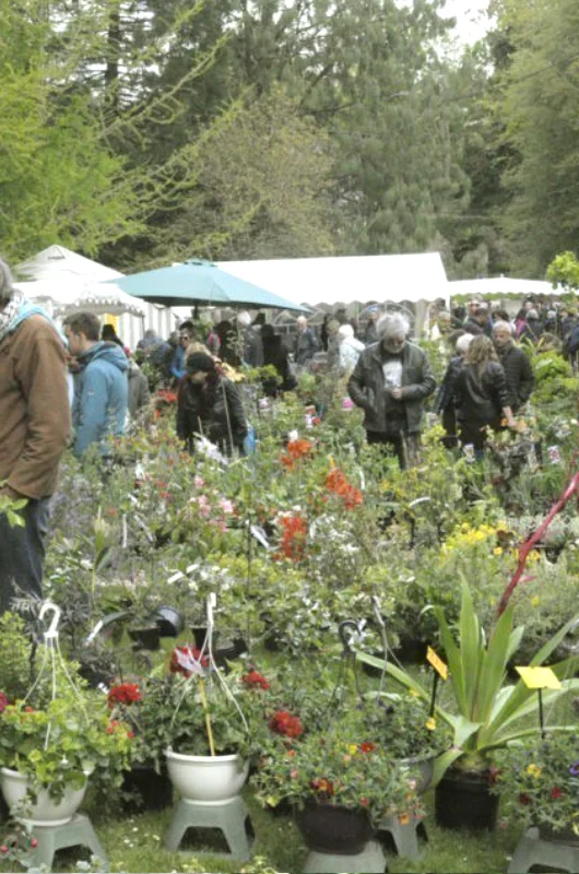 Journée des Plantes de Brest