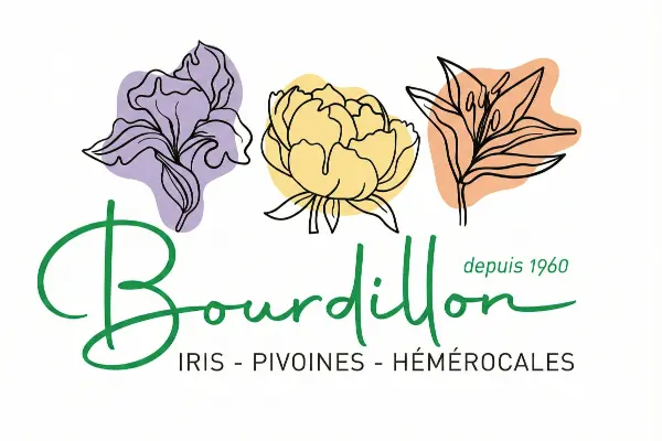 Logo Bourdillon iris