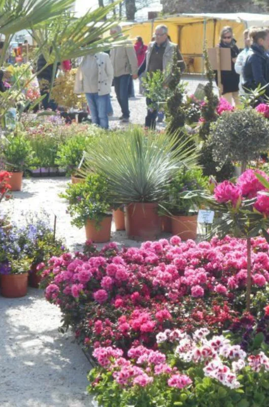 Marché de la fleur d’été de Quimper