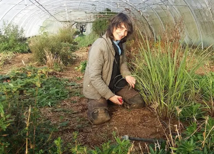 St&eacute;phanie Salliot de la P&eacute;pini&egrave;re des fruits des fleurs