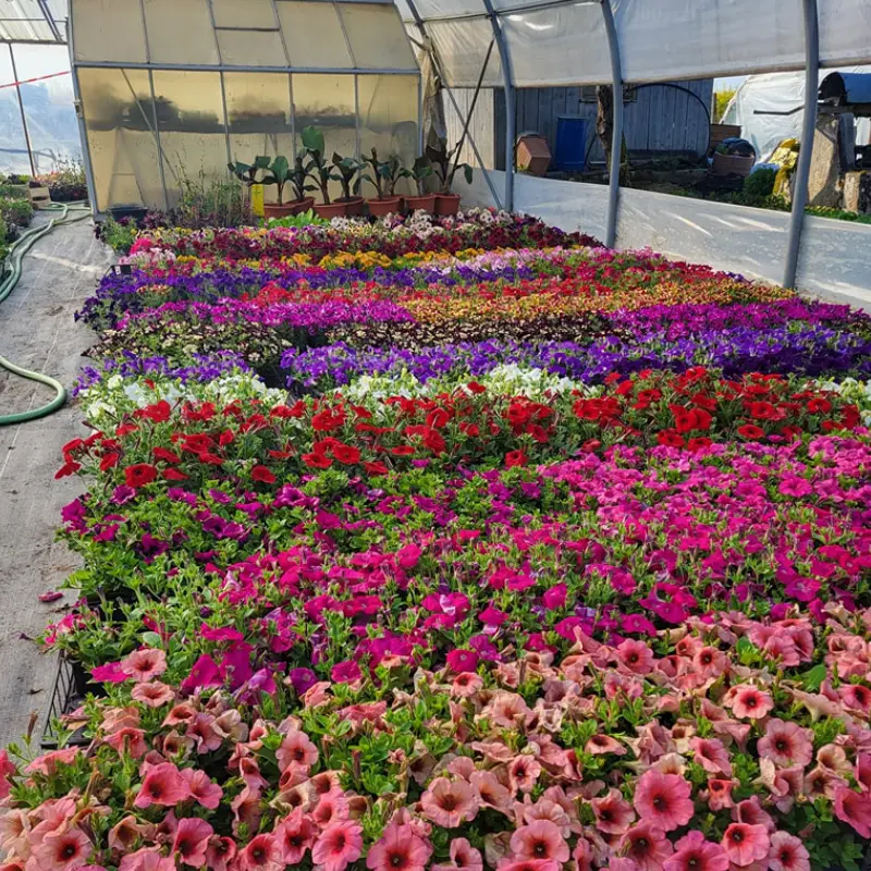 Les Serres de la Mouloire