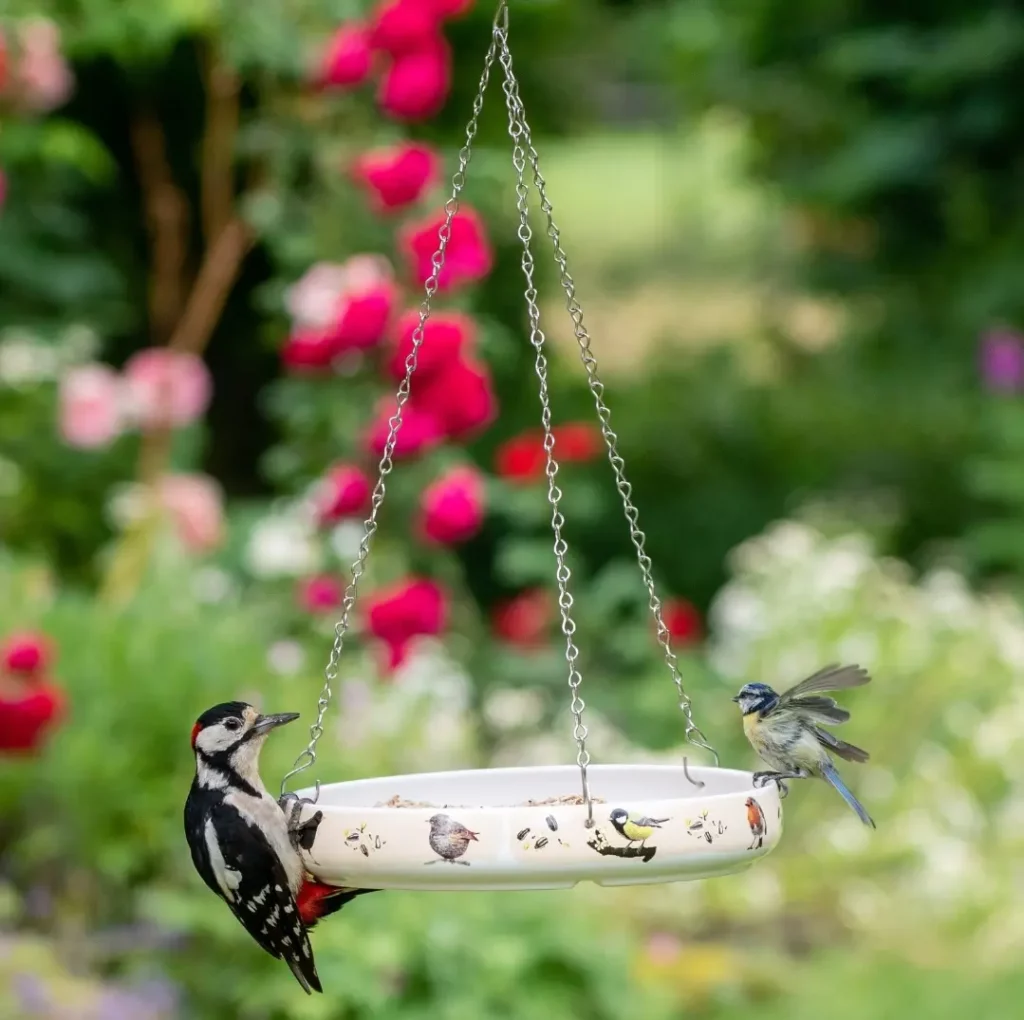 Les mangeoires Vivava