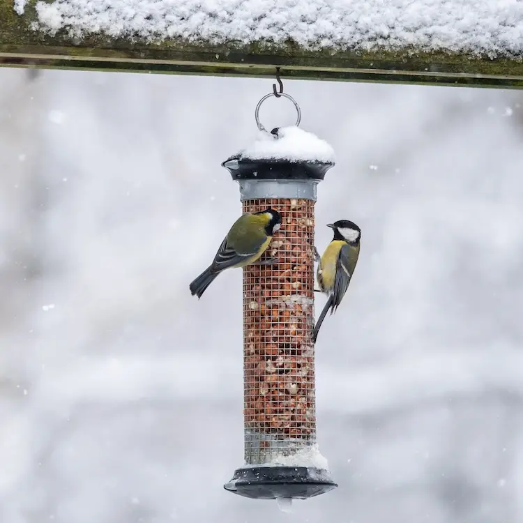 Les mangeoires Vivava