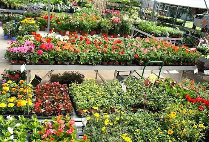 Le march&eacute; couvert de la Jardinerie Cart&eacute;