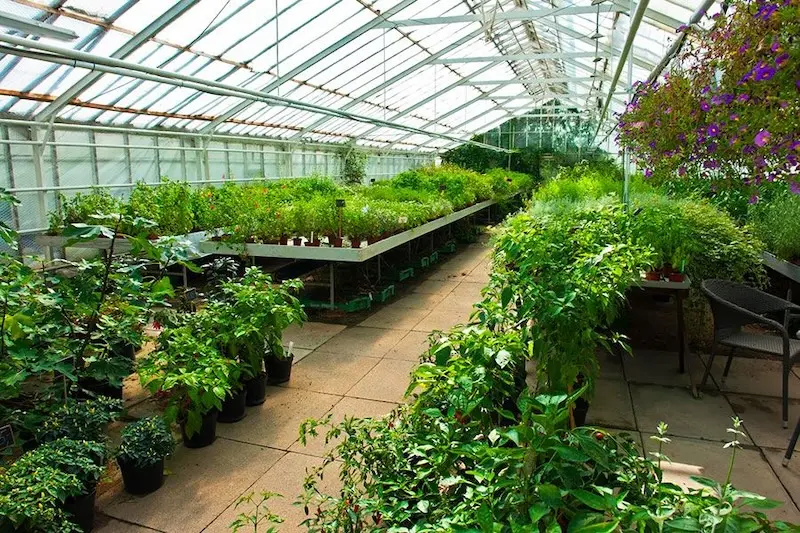 Les Serres du Cédon