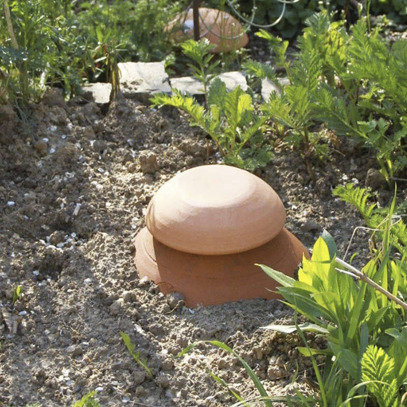 Utiliser les oyas au jardin pour moins arroser