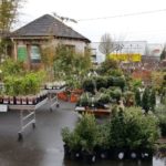 Espace pépinière des jardineries Atlantic Vert