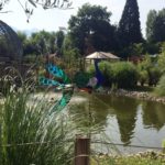 L'étang de la Jardinerie Plaisirs Verts