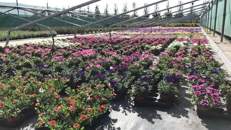 Jardinerie Les Jardins de Provence