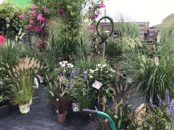 Pépinière de la Jardinerie de Provence