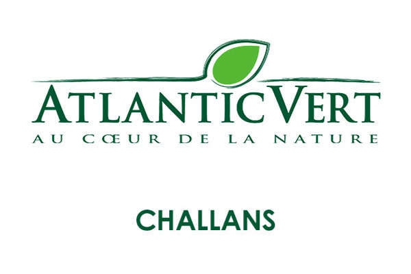 Logo Atlantic Vert Challans