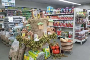 Jardinerie Euralys Hazebrouck