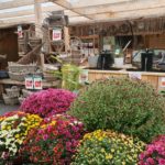 Le marché aux fleurs de la Jardinerie Scael