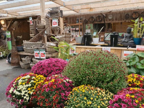 Le marché aux fleurs de la Jardinerie Scael
