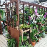 Les plantes vertes d'intérieur