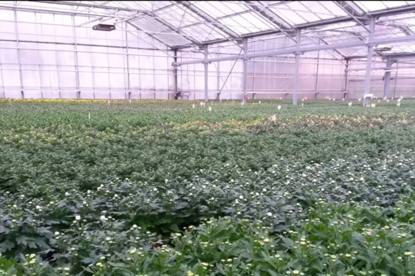 Établissements Flutre