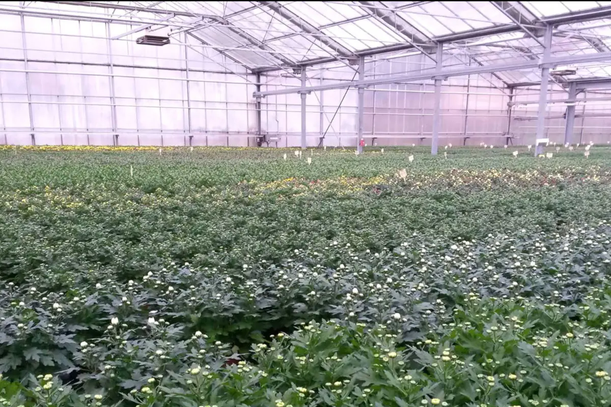 Établissements Flutre