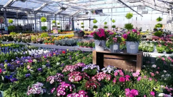 Les Serres de Tressin