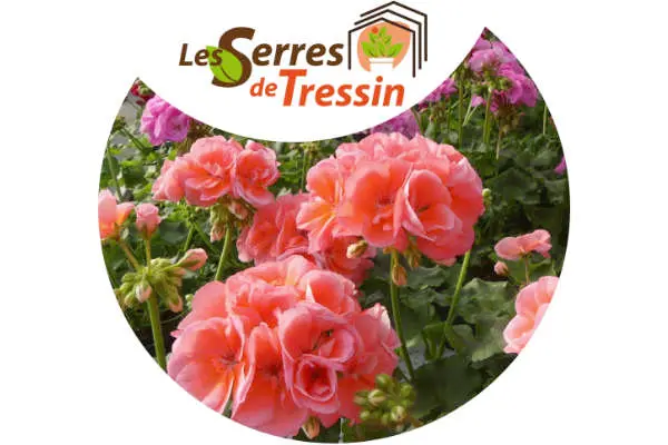 Logo Les Serres de Tressin