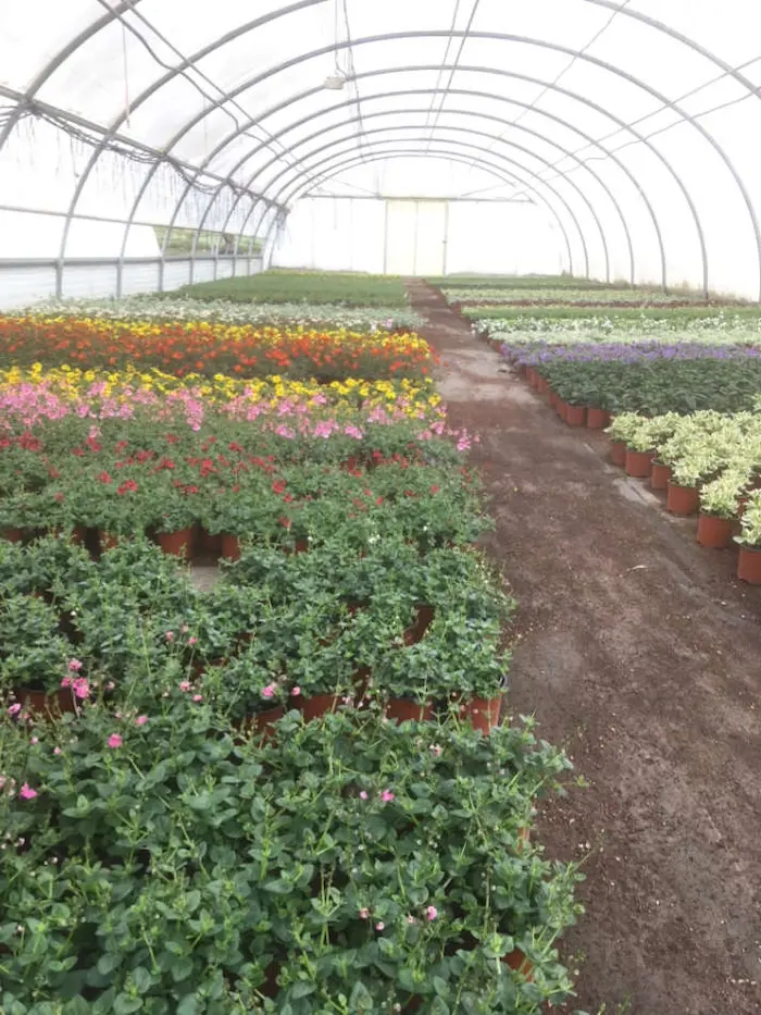 La P&eacute;pini&egrave;re Melquior