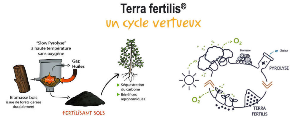 Production de biochar Terra fertilis