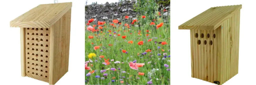 La protection des auxiliaires du jardin chez Triangle Outillage