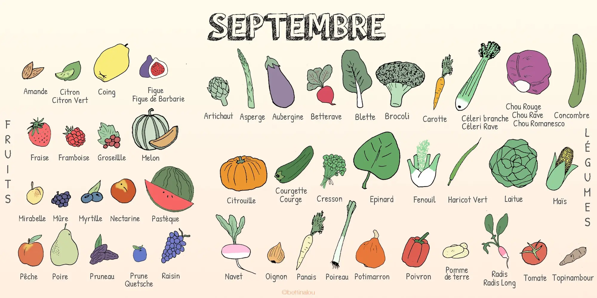 Les Fruits Et L gumes De Septembre Fiches Pratiques Du Potager