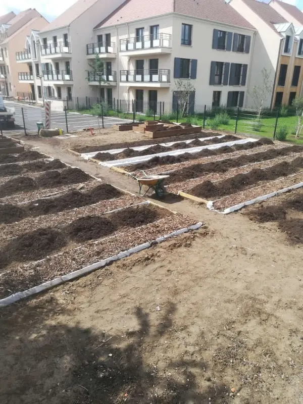Création de potagers urbains