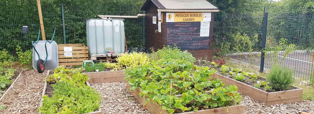 Exemple de réalisation du Petit Pousseur