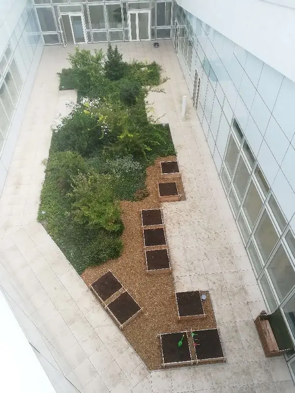 Potagers au sein des entreprises