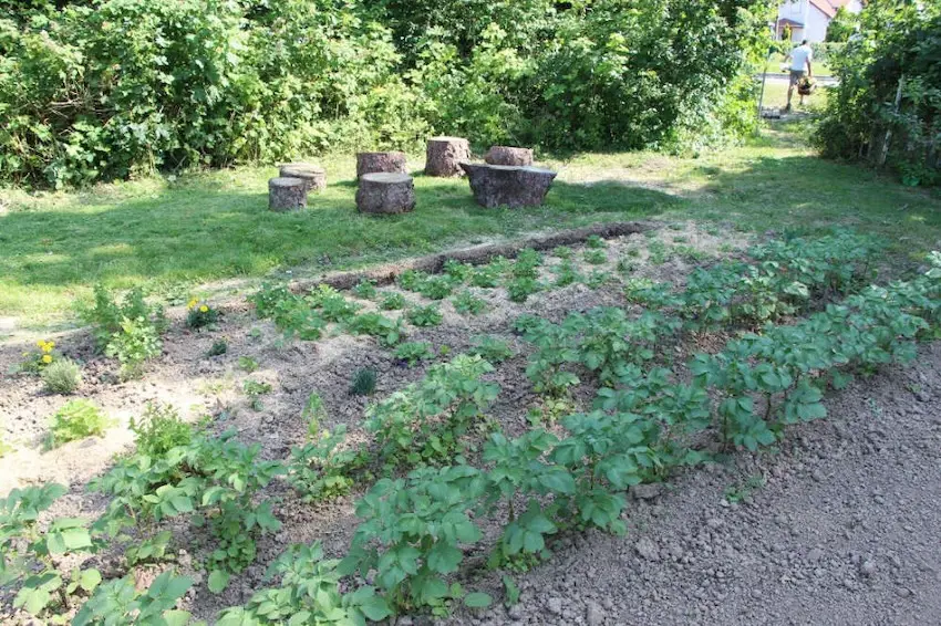 Potager Le Petit Pousseur