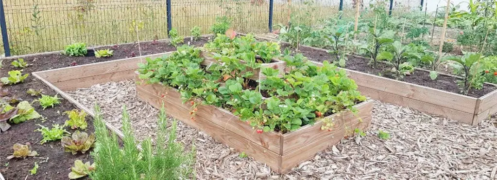 Exemple de réalisation du Petit Pousseur