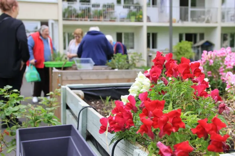 Potagers partagés en pied d'immeuble