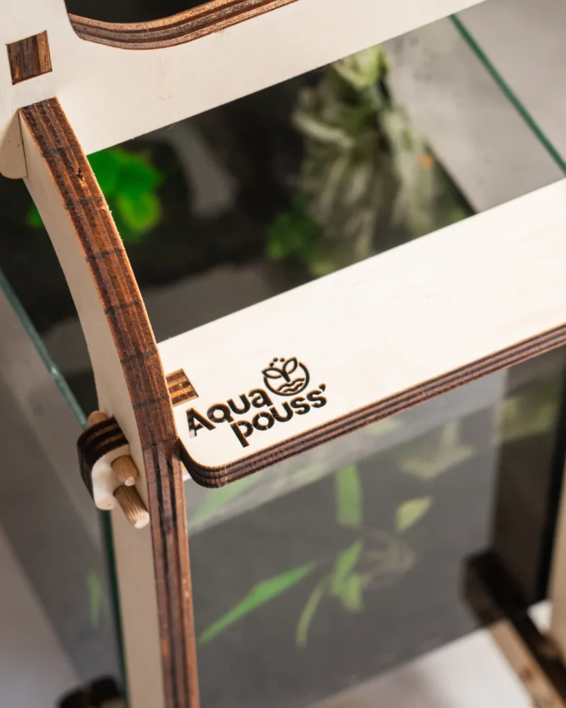 L'aquaponie avec Aqua'pouss mini