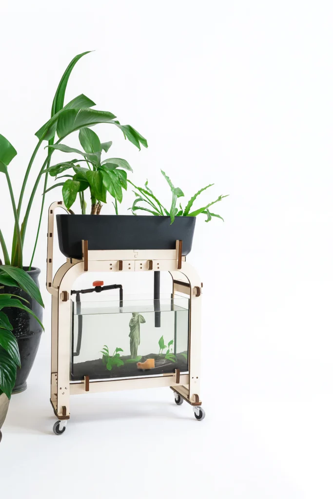 L'aquaponie avec Aqua'pouss mini