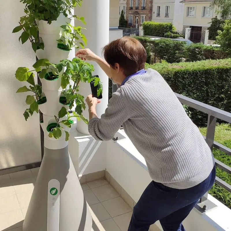 Utilisation du Home Potager