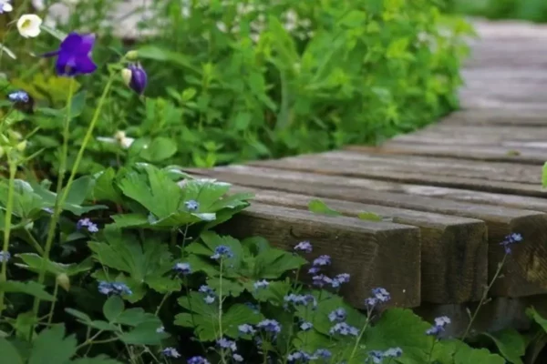 A Traits Jardin, conception paysagère