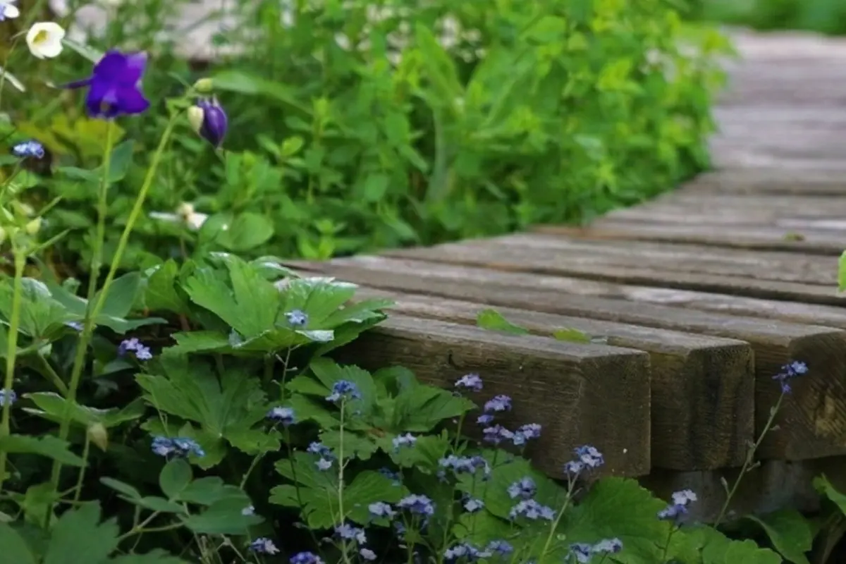 A Traits Jardin, conception paysagère