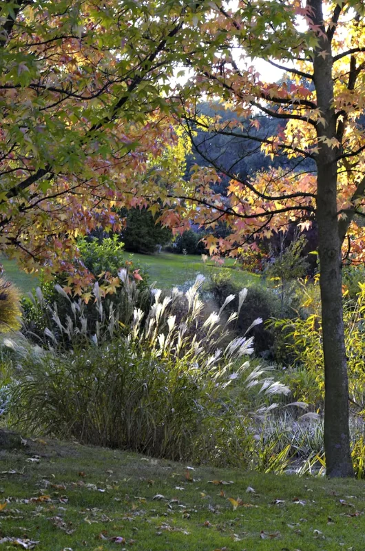 Fête des plantes au Jardin du Bois Marquis