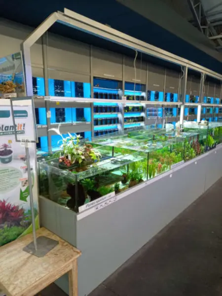 L'espace aquariophilie de la Jardinerie Favennec