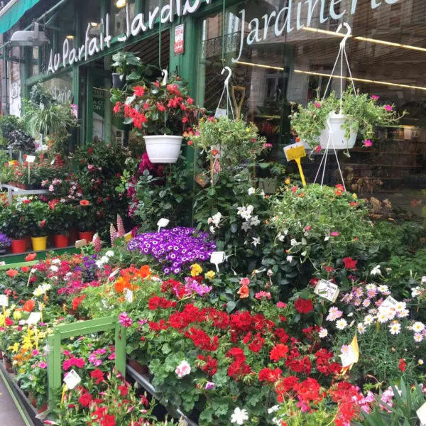 Au Parfait Jardinier Toulouse