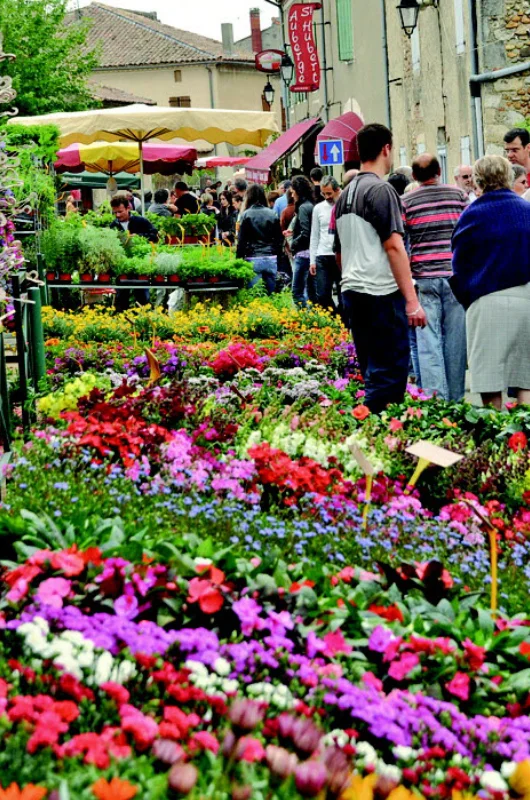 Foire aux fleurs de Malataverne