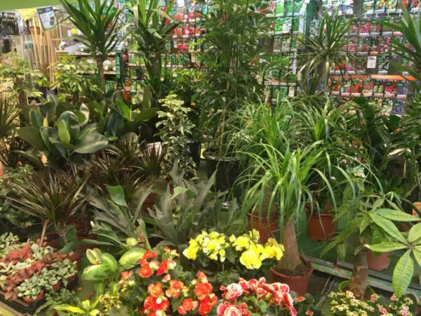 Au Parfait Jardinier Toulouse