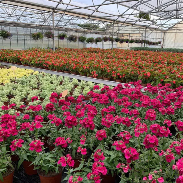 Au Parfait Jardinier Toulouse