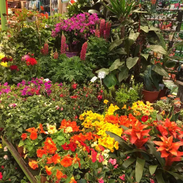 Au Parfait Jardinier Toulouse