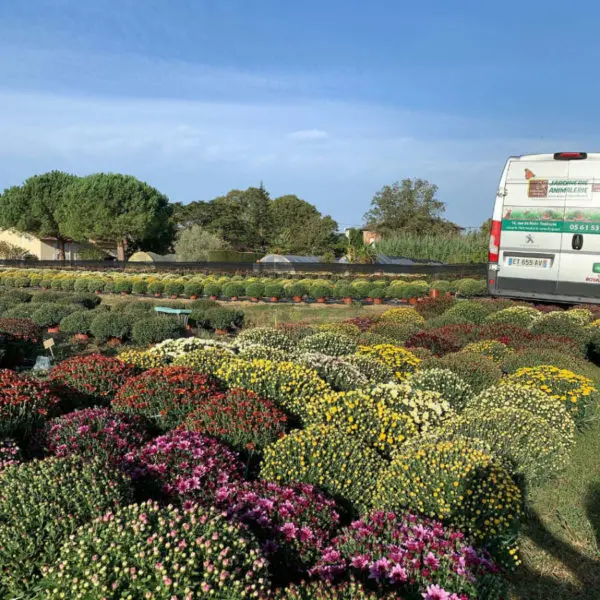 Au Parfait Jardinier Toulouse