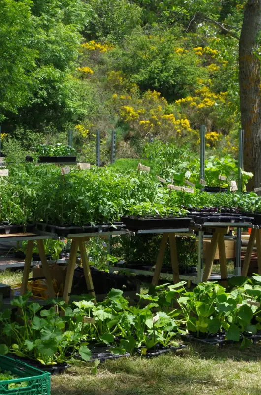 Fête des Plantes de Rochepaule
