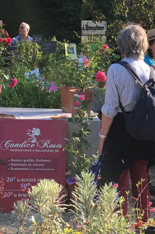 Hortus Botanicus au Jardin Romain-de-Caumont