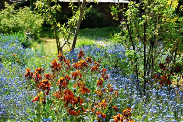 Jardin con&ccedil;u par Gouttes de Vert