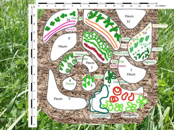 Exemple de plan potager de Gouttes de Vert